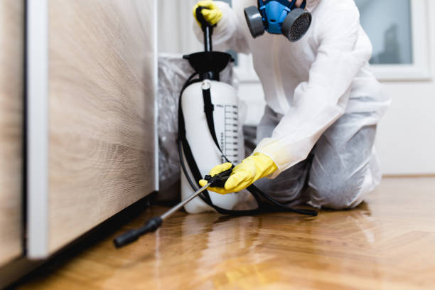 Best Exterminator Services  in Lynnwood Pricedale, PA