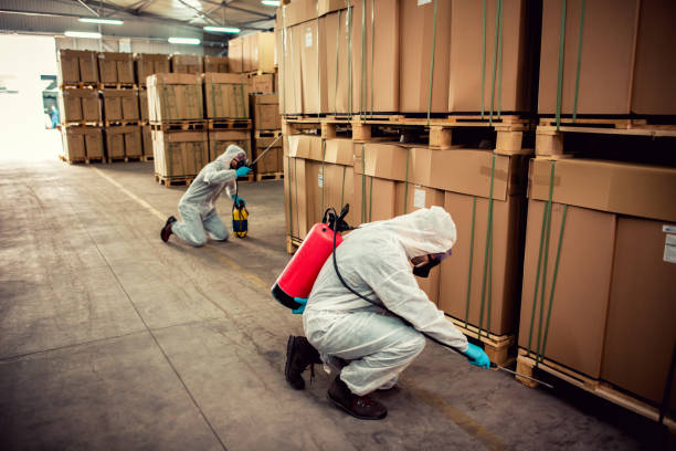 Best Termite Control Services  in Lynnwood Pricedale, PA
