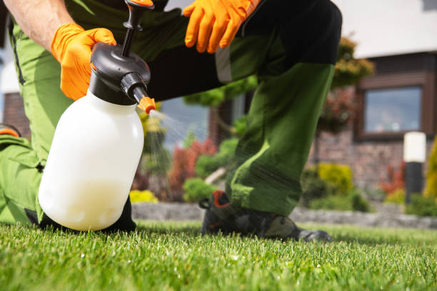 Best Emergency Pest Control  in Lynnwood Pricedale, PA