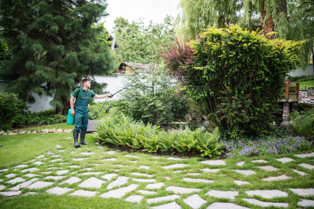 Best Ant Control Services  in Lynnwood Pricedale, PA