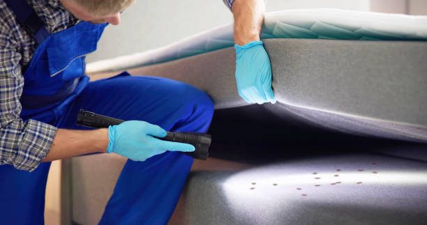 Best Flea Control Services  in Lynnwood Pricedale, PA