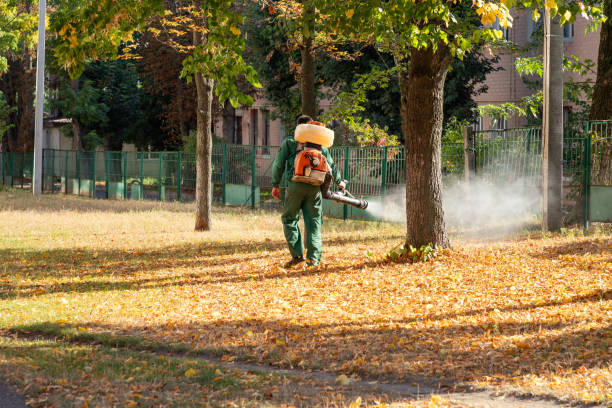 Best Affordable Pest Control Services  in Lynnwood Pricedale, PA
