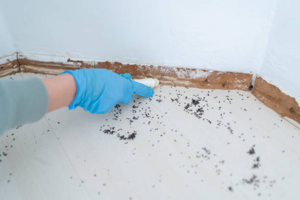 Best Mosquito Control Services  in Lynnwood Pricedale, PA